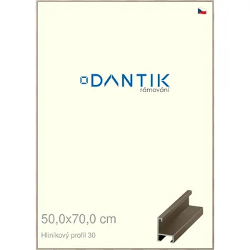 Rám na obraz DANTIK rámeček 50x70 | ALU profil 6030 champagne (Plexi Čiré) (Vyrobeno s láskou u nás v DANTIKU)