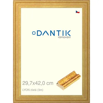 Rám na obraz DANTIK rámeček 29,7x42 | LYON zlatá (Plexi Čiré) (Vyrobeno s láskou u nás v DANTIKU)