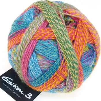 Příze Schoppel Wolle Edition 3 2296 Englischer Garten (Příze Edition 3 2296 Englischer Garten)