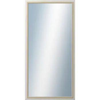 Zrcadlo DANTIK - Zarámované zrcadlo - rozměr s rámem cca 50x100 cm z lišty RIVIERA AU (3100)