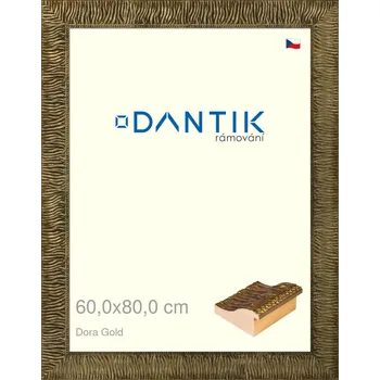 Rám na obraz DANTIK rámeček 60x80 | Dora Gold (Plexi Čiré) (Vyrobeno s láskou u nás v DANTIKU)