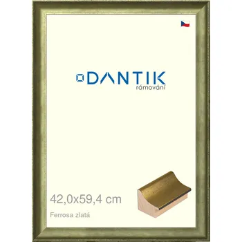 Rám na obraz DANTIK rámeček 42x59,4 | Ferrosa zlatá (Plexi Čiré) (Vyrobeno s láskou u nás v DANTIKU)