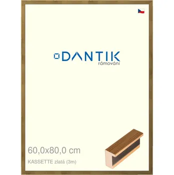 Rám na obraz DANTIK rámeček 60x80 | KASSETTE zlatá (Plexi Čiré) (Vyrobeno s láskou u nás v DANTIKU)