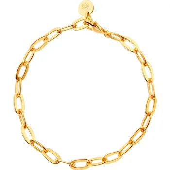 Náramek Pozlacený stříbrný náramek Charms - AP530-4363