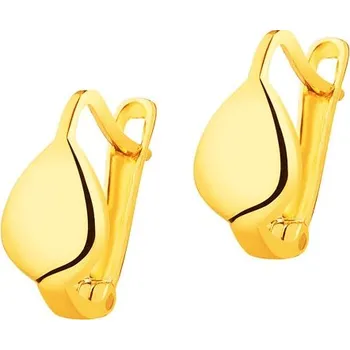 Náušnice Zlaté náušnice - AP524-8058