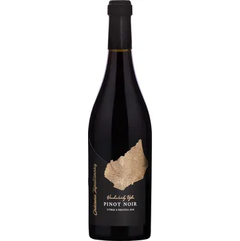 Víno Chateau Topoľčianky Vinohradnícky výber Pinot Noir 2019 14% 0,75l