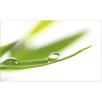 Obklad Obkladový panel do kuchyně mySpotti Profix kapka rosy 100 x 60 cm PX-10060-53-HB