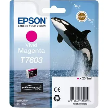 Epson T7603 Ink Cartridge Vivid Magenta C13T76034N10