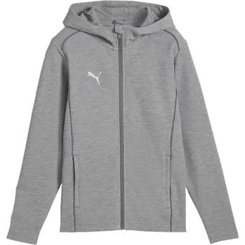 Pánská mikina Pánská sportovní mikina Puma TEAMFINAL CASUALS HOODED JACKET S Šedá, Bílá