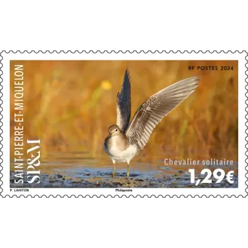 Poštovní známka (2024) MiNr. ** - Saint Pierre a Miquelon - Pískomil samotářský