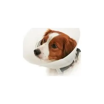 Ochranný límec pro zvířata Límec ochranný BUSTER neprůhl. Classic Collar 20cm