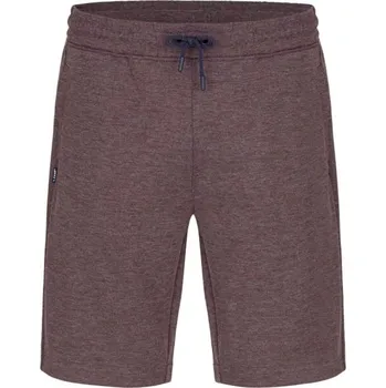Pánské kraťasy Pánské kraťasy LOAP ECYKL L Hnědá