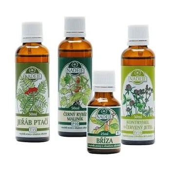 Zdraví Kúra pro regeneraci ženského organismu