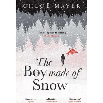 Cizojazyčná kniha Boy Made of Snow - Mayer, Chloe