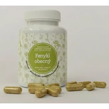 Doplněk stravy Fenykl obecný (Trávení v oblasti tenkého i tlustého střeva, mírní až odstraňuje nadýmání a plynatost)