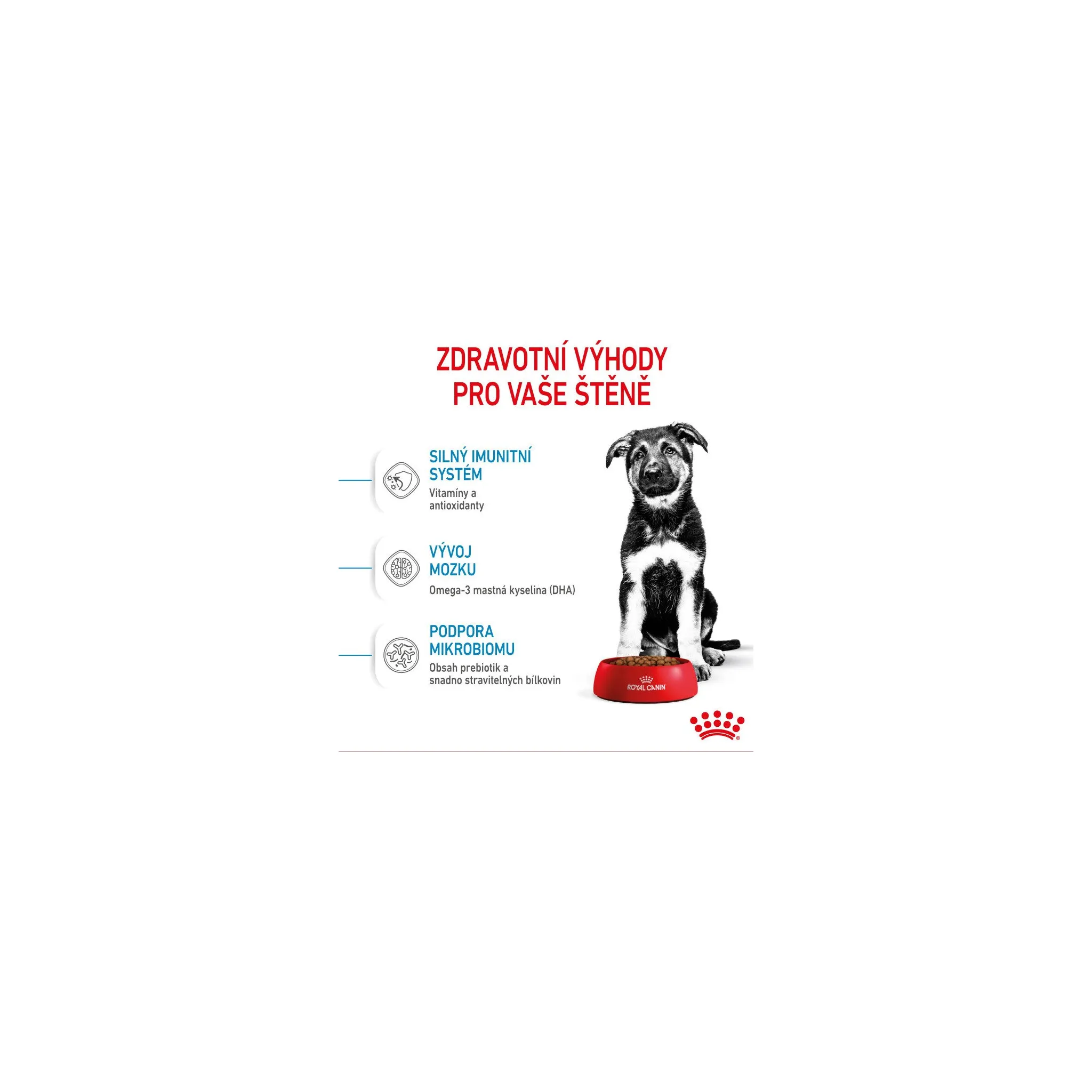 Fotografie 11 - Krmivo pro psa Royal Canin Maxi Puppy Poultry 15 kg
