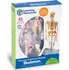 anatomický model Learning Resources LERLER3337 mini lidská kostra