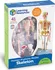 anatomický model Learning Resources LERLER3337 mini lidská kostra