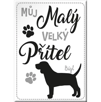 Dekorativní magnet Nekupto Magnet se psem - Bígl