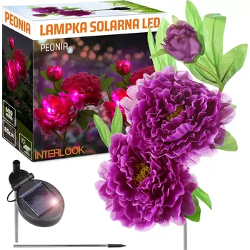 Dekorativní svítidlo Interlook FLD-10-PURPLE | Solární zahradní lampa LED Pivoňka fialová | 80 cm, 600 mAh