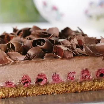 Farmaceutická surovina Stabilizátor šlehačky s příchutí čokolády 0,5 kg | ZEELANDIA, Zeesan Czekoladowy