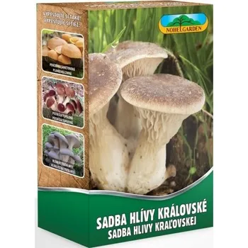 Semeno Hlíva královská 250 ml