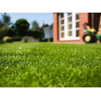 Zahrada Oseva Uni Okrasná směs s jílkem vytrvalým Hmotnost: 2 kg