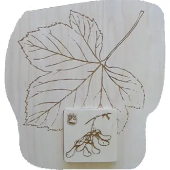 Puzzle Skládačka LISTY č.10013 - JAVOR KLEN