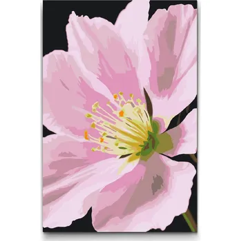 Malování podle čísel - Květ muškátu Velikost: 40x60cm, Rámování: Pouze srolované plátno