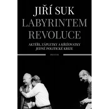 Kniha Labyrintem revoluce - Jiří Suk [E-kniha]