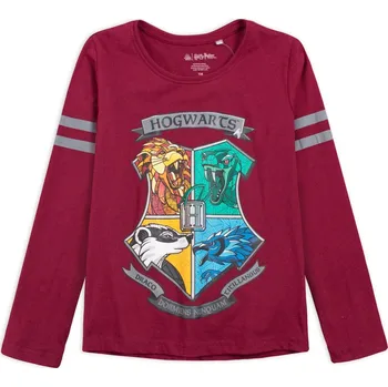 Dívčí tričko HARRY POTTER DRACO vínové Velikost: 158
