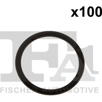 Těsnění motoru Těsnicí kroužek, , FA1, 448.810.100