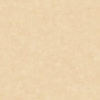 Tapeta Vliesová tapeta na zeď Caselio 101481674 BETON 2, 0,53 x 10,05 m