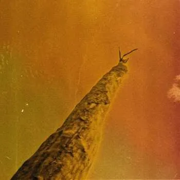 Zahraniční hudba LP Frédéric D. Oberland: SIHR 2024