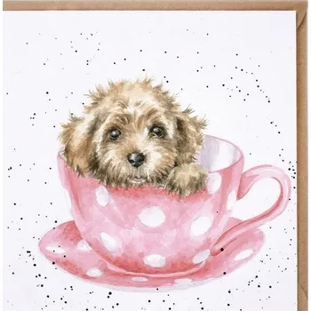 Přání 15 x 15 cm "Teacup Pup" Wrendale Designs - štěně v hrnku