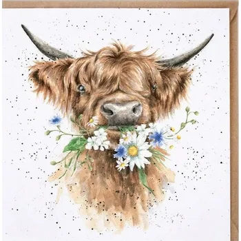 Přání 15 x 15 cm "Daisy Cow" Wrendale Designs - kráva