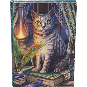 Zápisník Diář s magickou kočkou - design Lisa Parker