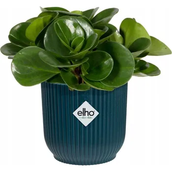 Květináč Květináč plast modrý Elho 14 cm x 14 cm x 13 cm