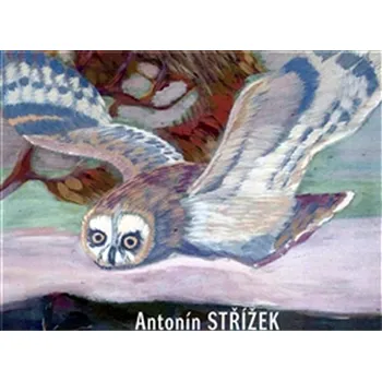 Umění Antonín Střížek