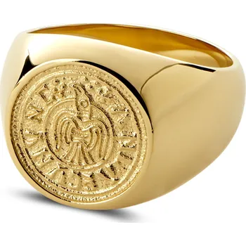 Prsten Aras | Pečetní prsten na malíček zlaté barvy pence s havranem - Lucleon