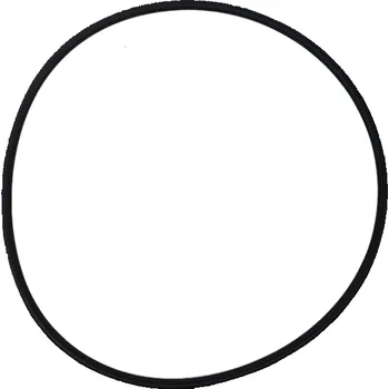 Bazénová filtrace Těsnění těla čerpadla 190x5,5 Badu