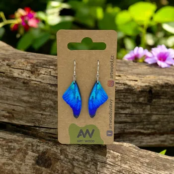 Náušnice art-wood.cz Elegantní visací náušnice - Křídlo Morpho