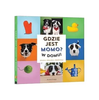 Pohádka Gdzie jest Momo? W domu! - Knapp, Andrew