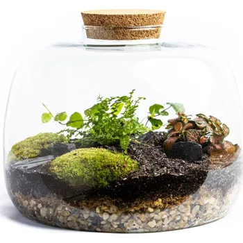 Váza Gardners Skleněná dóza Scilla s korkovým špuntem, 18x22 cm - osázené vlhkomilně