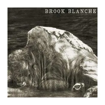Zahraniční hudba LP Brook Blanche: Brook Blanche 2017