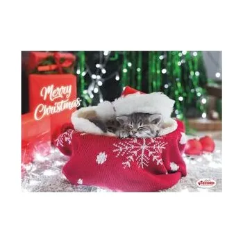 Miska pro psa Record vánoční plastová podložka pod misky 42 x 30 cm pro kočky spící kočka v červené de