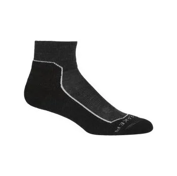 Dámské ponožky Icebreaker Hike+ light Mini Women Jet HTHR šedá M