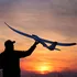 RC model letadla E-Flite Night Radian 2.0m BNF Basic