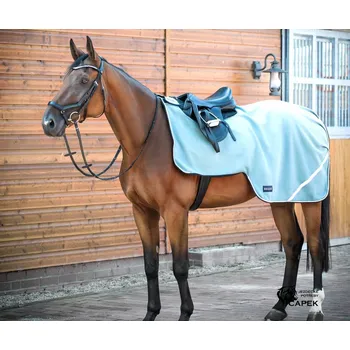 Deka pro koně Bederní deka Busse -FLEECE TRAINER- - Zelená (Silver Pine) - 145cm