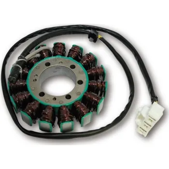 Motodíl Stator alternátoru Electrosport Kawasaki ZZR 1400 2006 - 2015